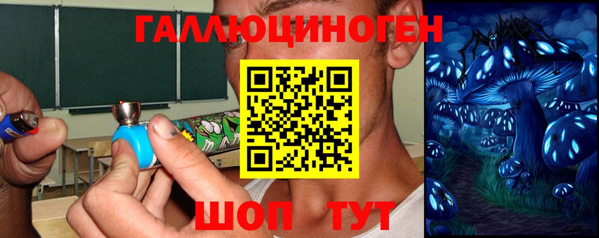 Ивантеевка  Псилоцибиновые грибы Cubensis  Вход с VPN 